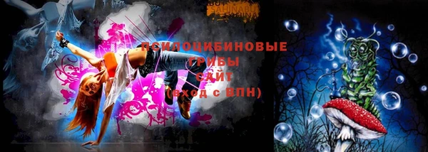 герыч Арсеньев