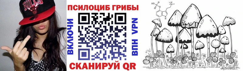 где найти   гидра как зайти  Псилоцибиновые грибы ЛСД  Лыткарино 